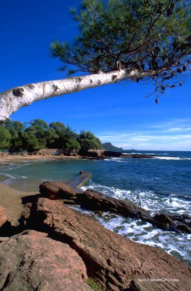 Sortie au bord de mer maison de retraite médicalisée Saint Raphaël VAR