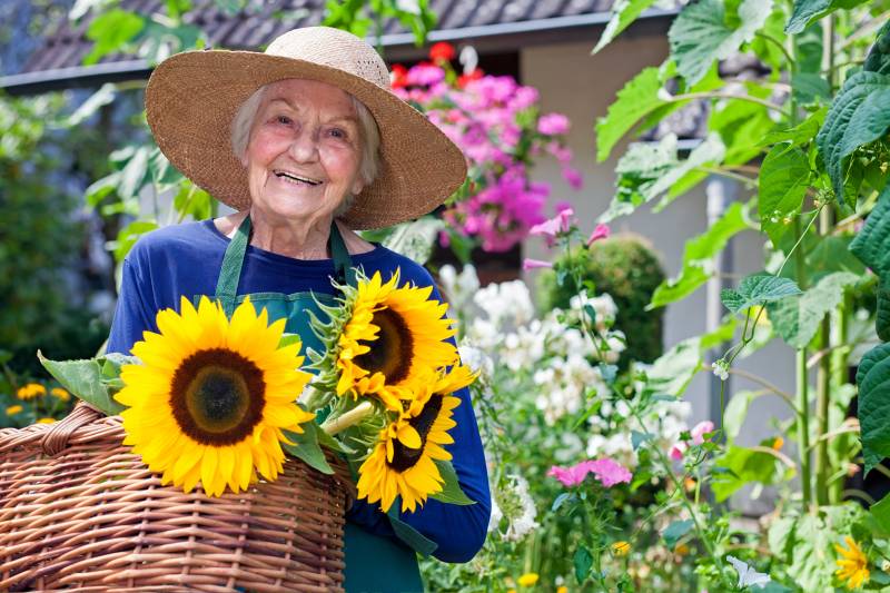 maison de retraite activités seniors personnes agées jardin therapeutique
