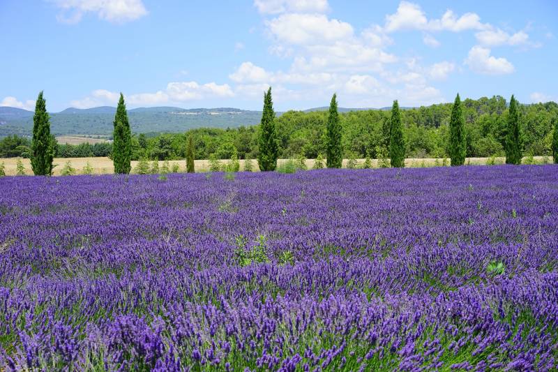 campagne aixoise, la bouilladisse